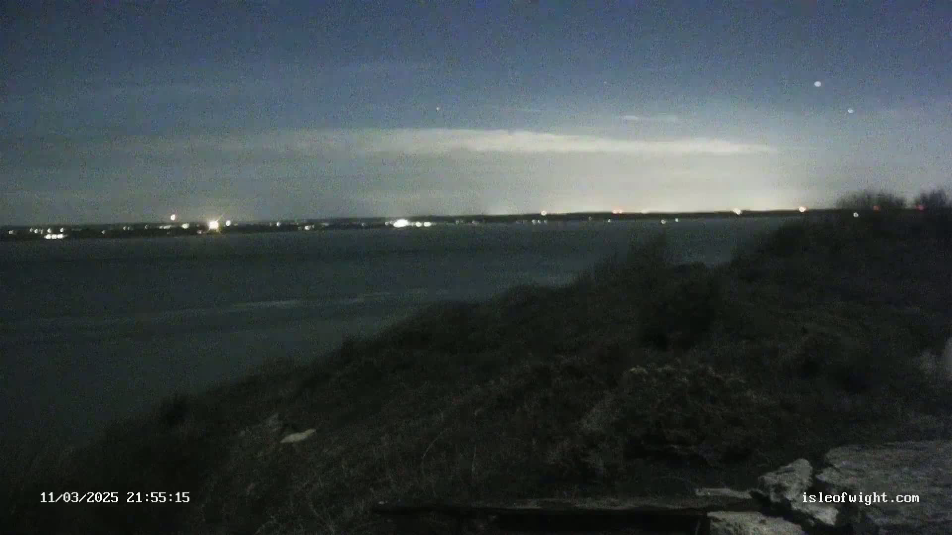 A dark, nighttime view shows a body of water with a distant line of lights across the horizon, viewed from a shrubby hilltop under a mostly clear sky.
