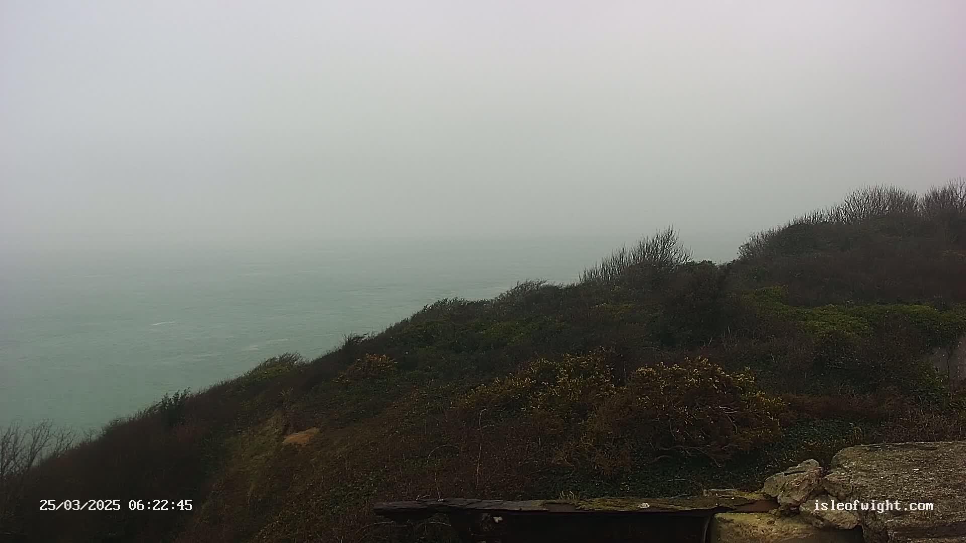 A foggy view of a dark green, shrub-covered hillside overlooking a calm, gray-green sea.