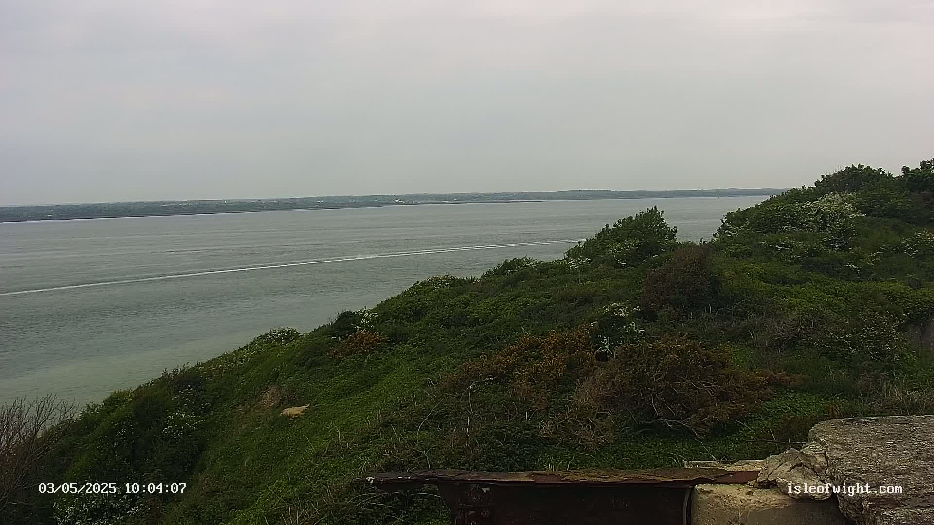 A boat's wake is visible on a calm, overcast day across a body of water from a verdant, shrub-covered hillside.