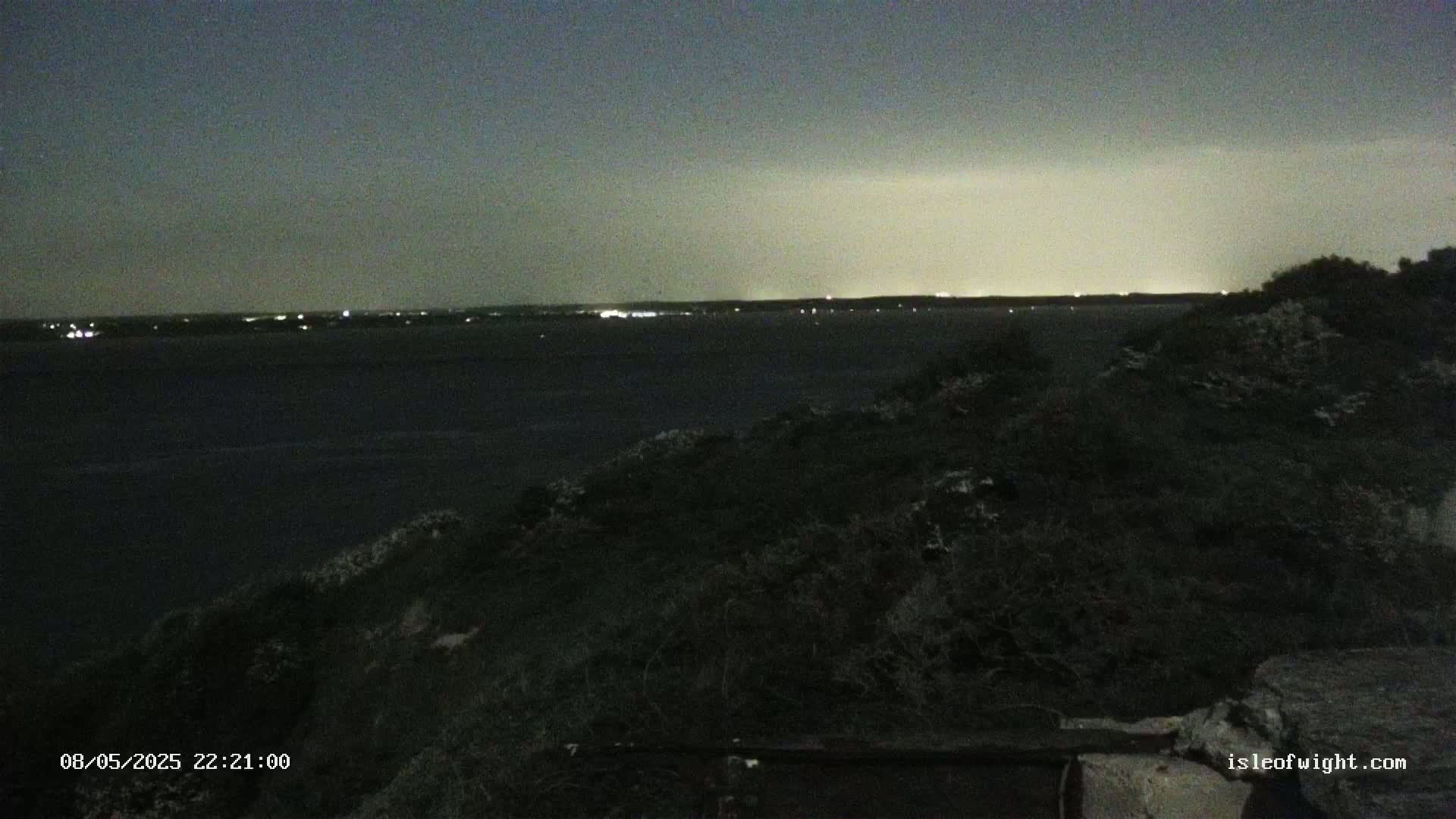 A nighttime view of a dark body of water with a faintly lit horizon, observed from a low vantage point amidst dark shrubbery under a mostly cloudy sky.