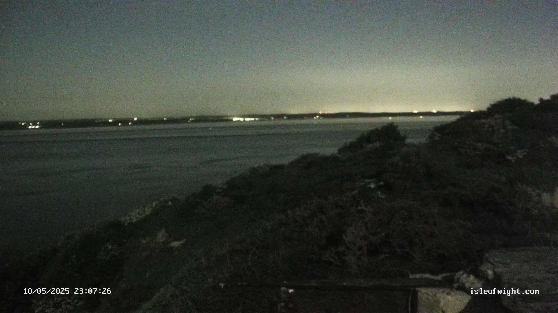 A dark, nighttime view of a body of water with a distant city skyline faintly illuminated, observed from a hilltop covered in low-lying vegetation.