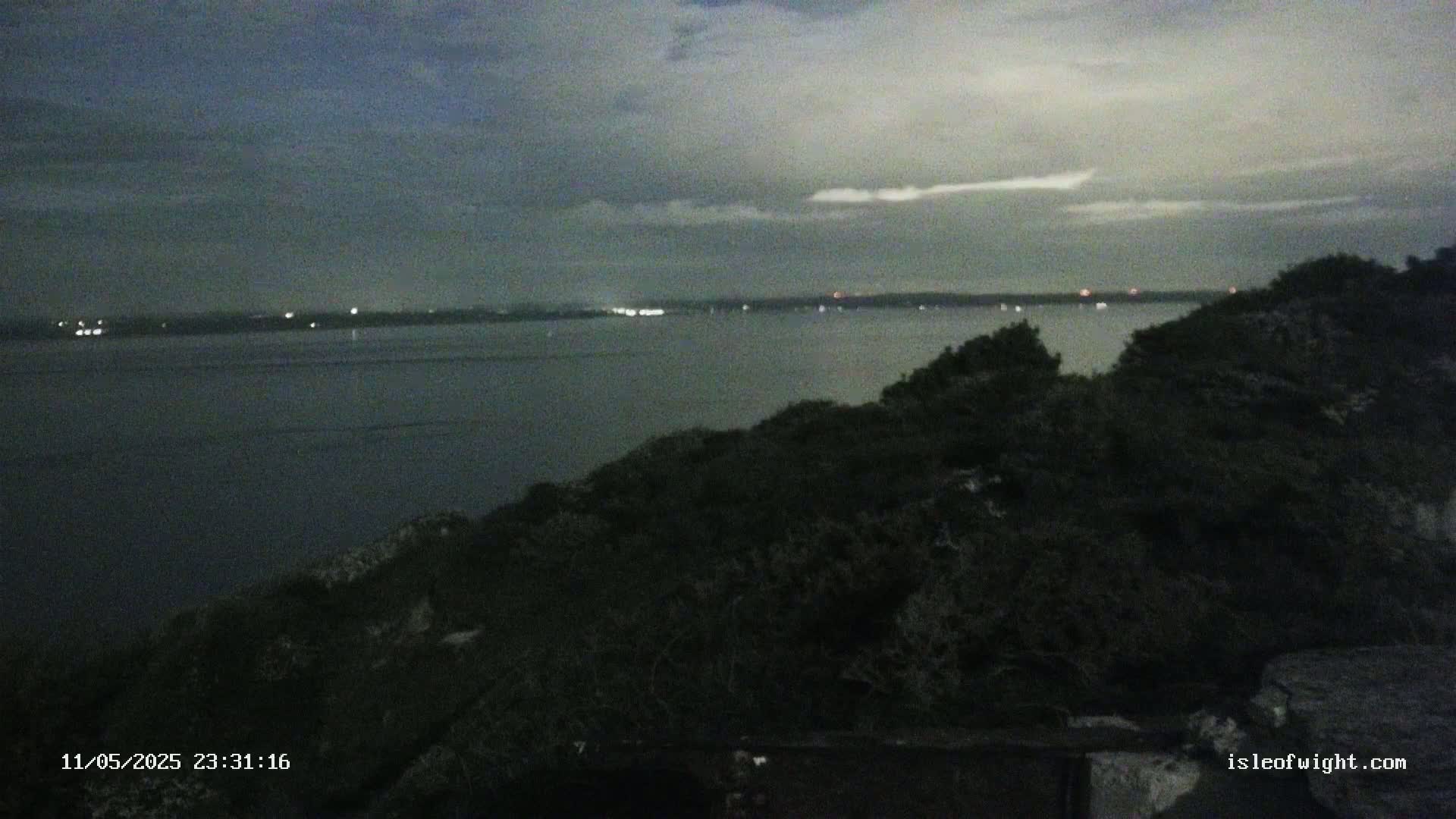 A dark, overcast night scene shows a body of water with distant lights across it, viewed from a hilltop covered in dark shrubs.
