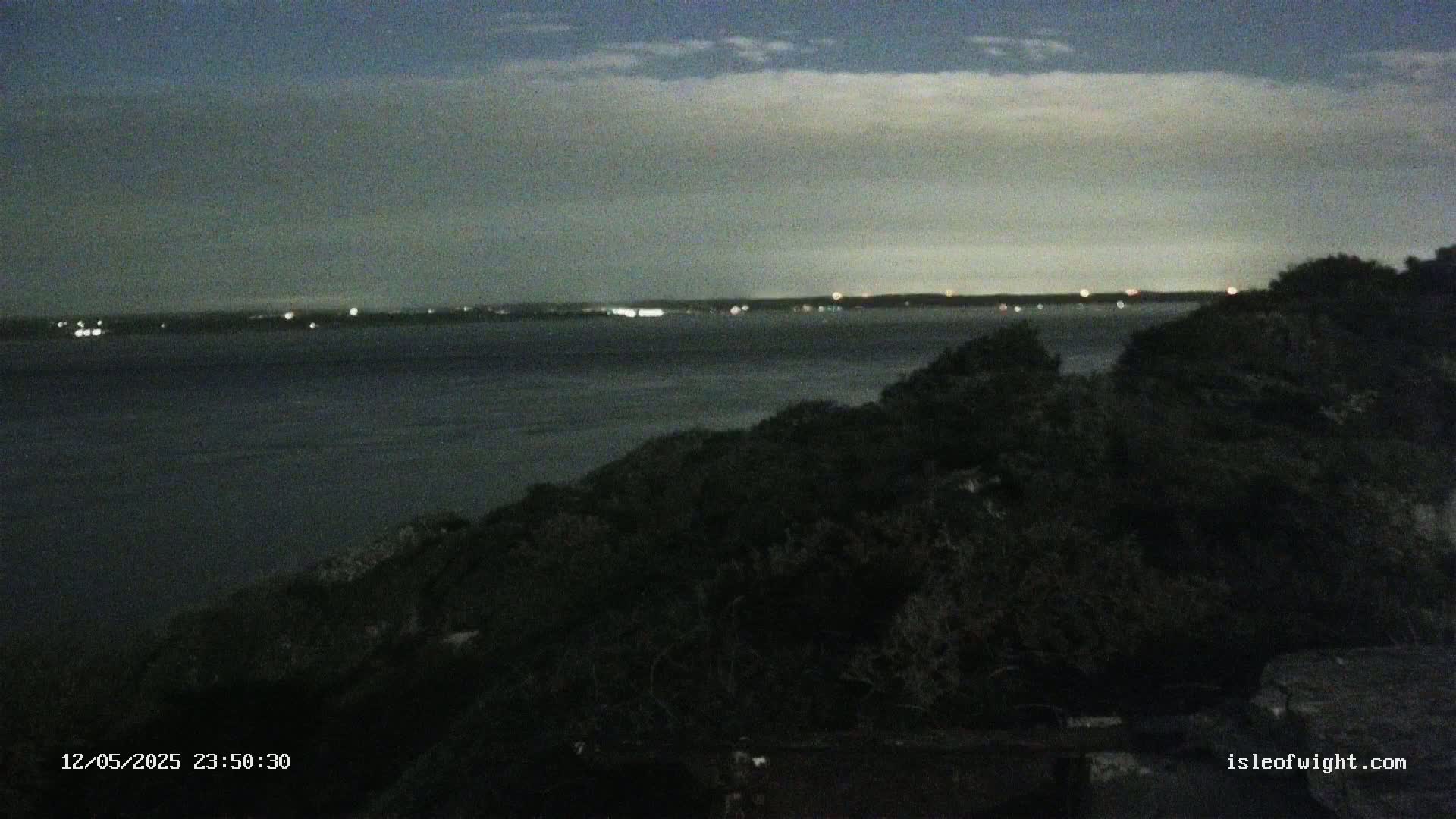 A dark, nighttime view of a calm body of water with distant lights on the opposite shore, partially obscured by a foreground of dark shrubbery under a cloudy sky.