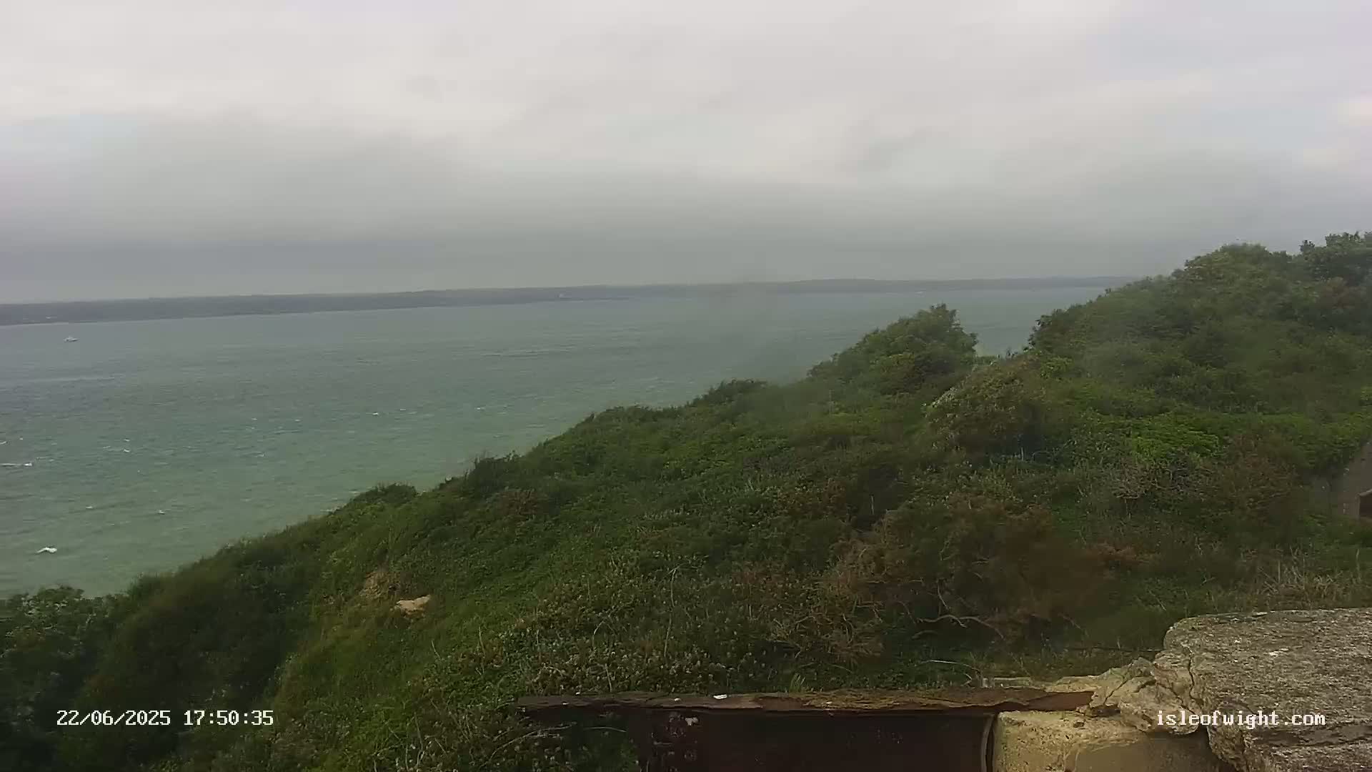 A windy, overcast day reveals a view of a calm, greenish-grey sea from a verdant clifftop.