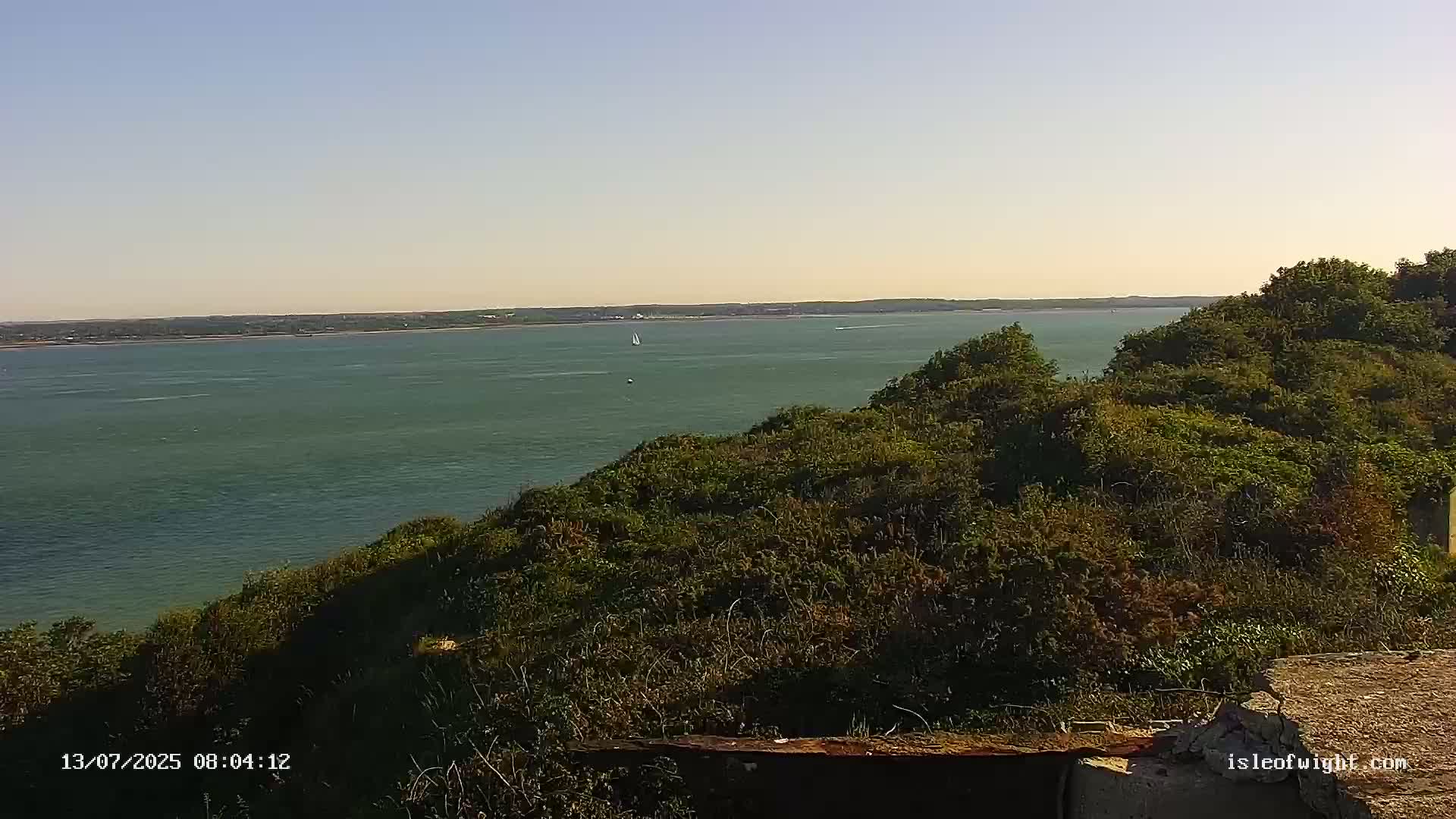 A calm, expansive body of water is viewed from a verdant hillside on a sunny day.