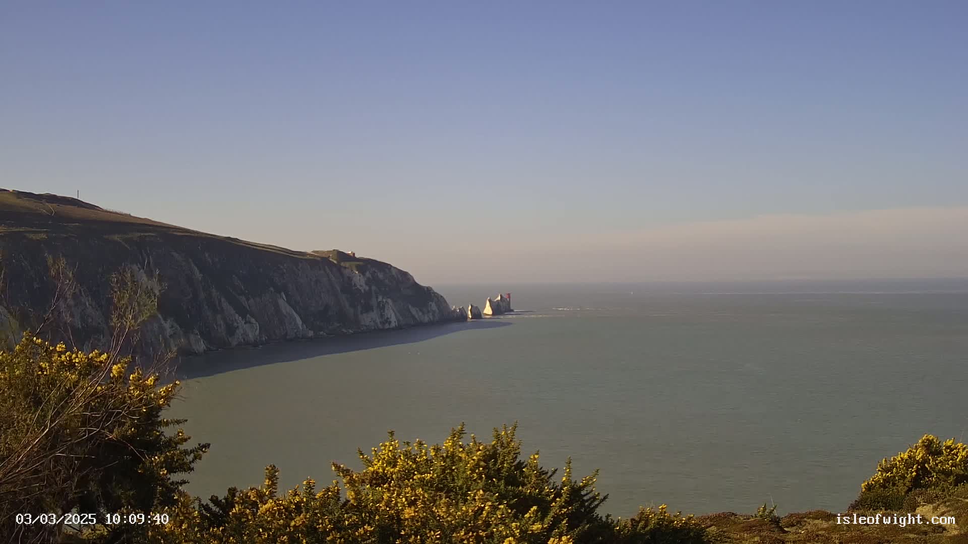 A coastal view shows a large, white cliff face extending into a calm, gray sea, with a smaller, separate rock formation further out; yellow flowering bushes are in the foreground.
