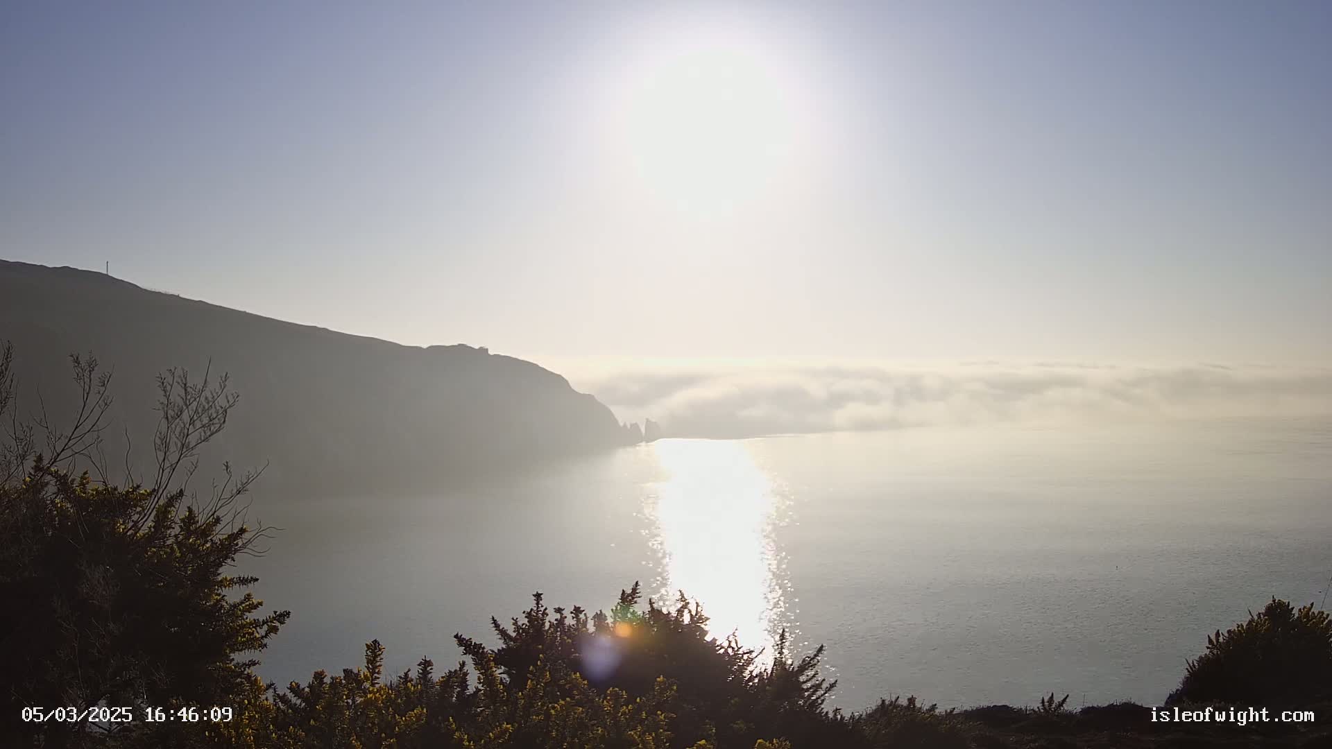 A bright sun shines over a calm sea partially covered in fog, with a hazy, dark cliff in the background and low shrubs in the foreground.