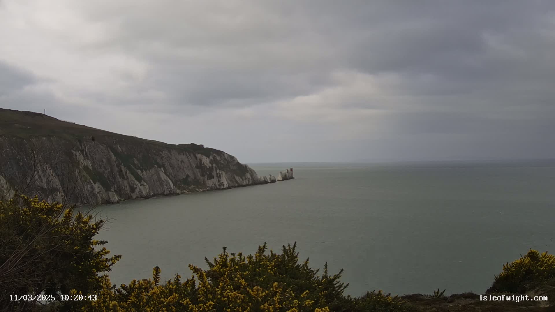 A coastal scene shows a gray, overcast sky over a calm sea, with white cliffs and yellow flowering bushes in the foreground.