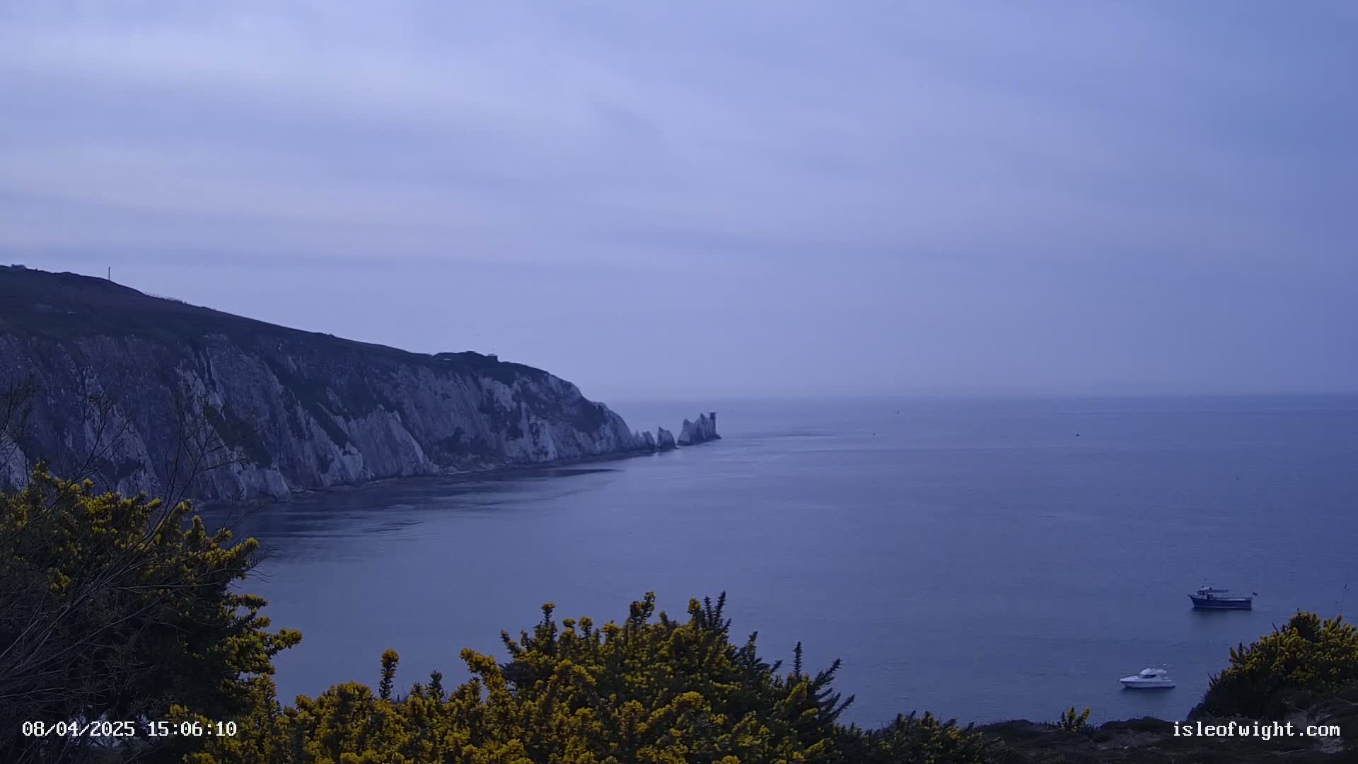White cliffs meet a calm, hazy sea where two boats are visible from a vantage point with flowering bushes in the foreground.