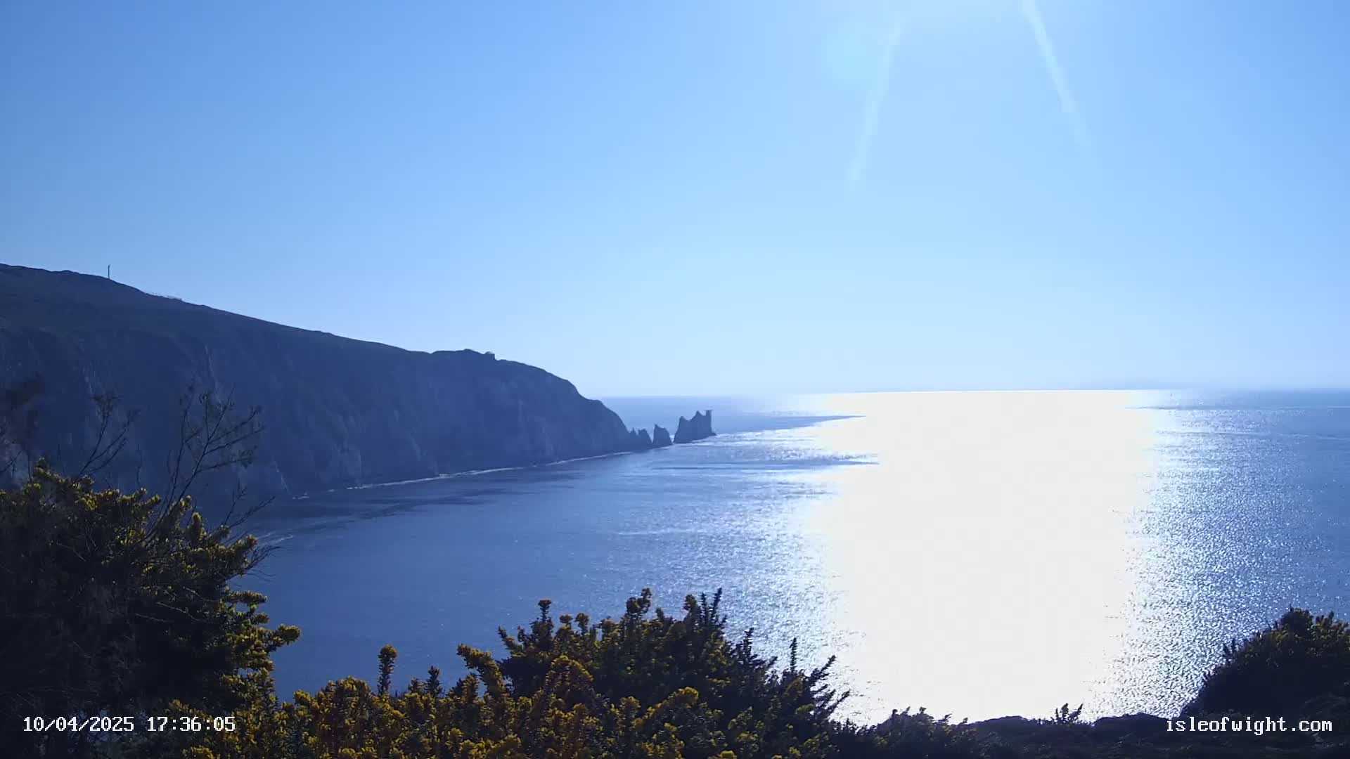 A sunny day reveals a dramatic coastal scene with dark cliffs meeting a sparkling blue sea, partially obscured by yellow-flowered bushes in the foreground.