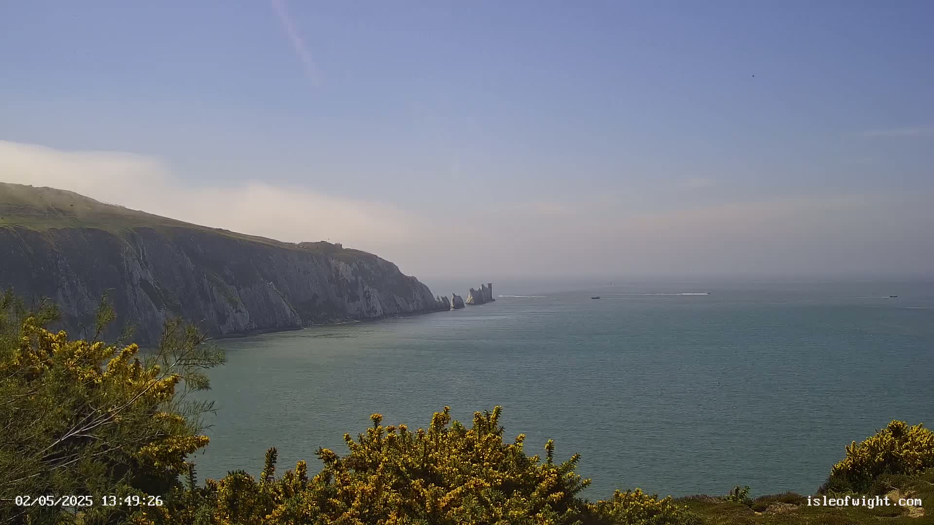 A hazy coastal scene shows white cliffs, a stretch of calm ocean, and yellow flowering bushes in the foreground.