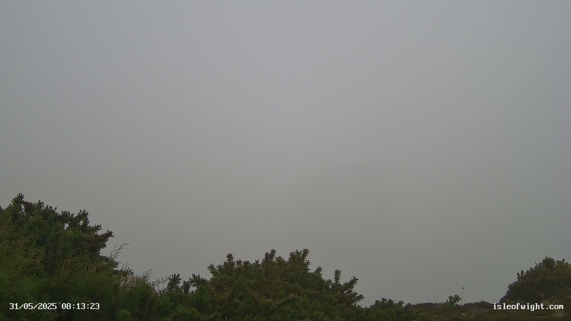 A foggy, overcast sky is visible above a low line of dark green shrubs.