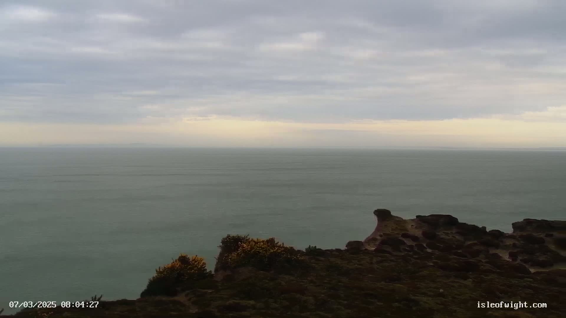 A calm, overcast day reveals a wide expanse of sea from a clifftop, where low-lying vegetation grows.
