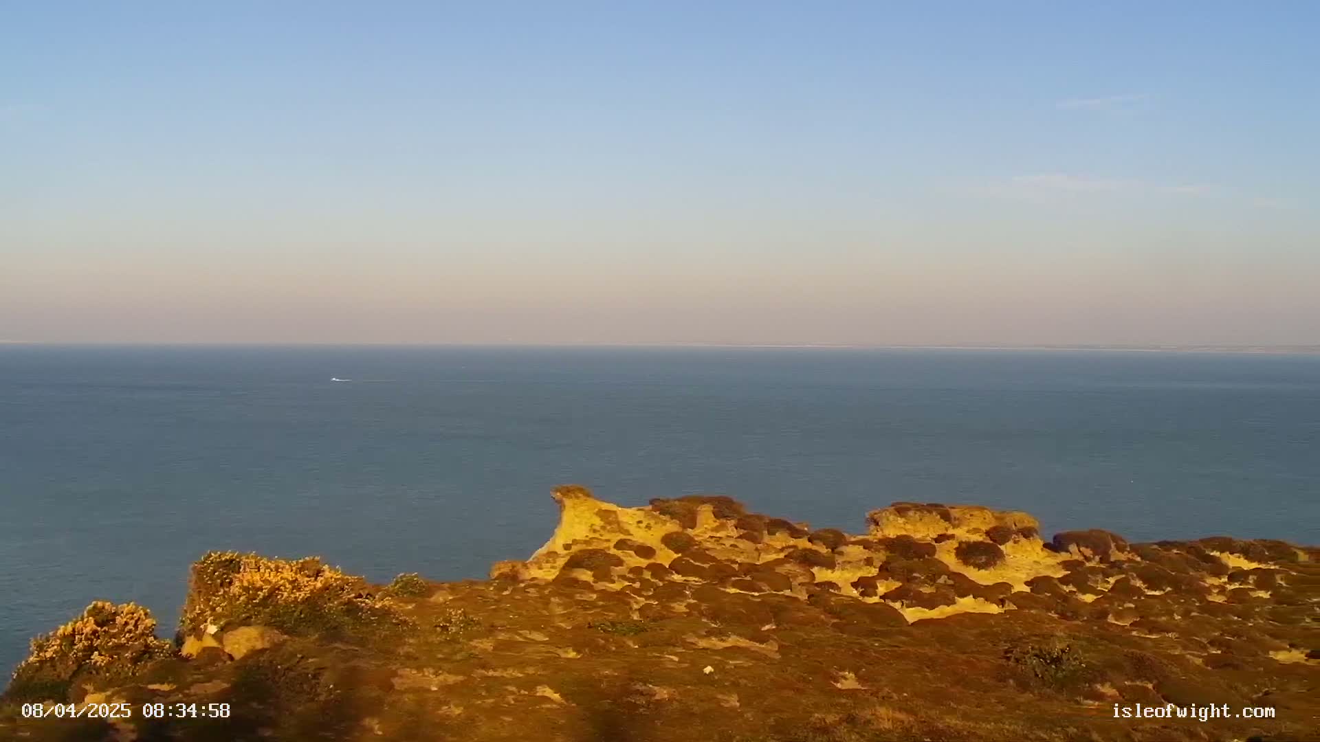A calm sea stretches to the horizon under a clear, pale blue sky, viewed from a vantage point overlooking a rocky, low-lying clifftop covered in scrubby vegetation.
