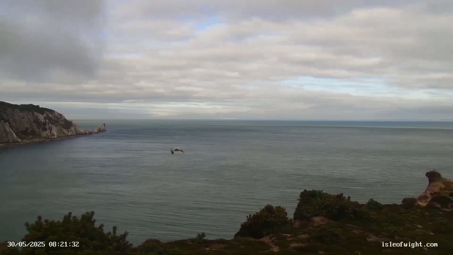 A bird flies over a calm, grey sea next to white cliffs under a cloudy sky.