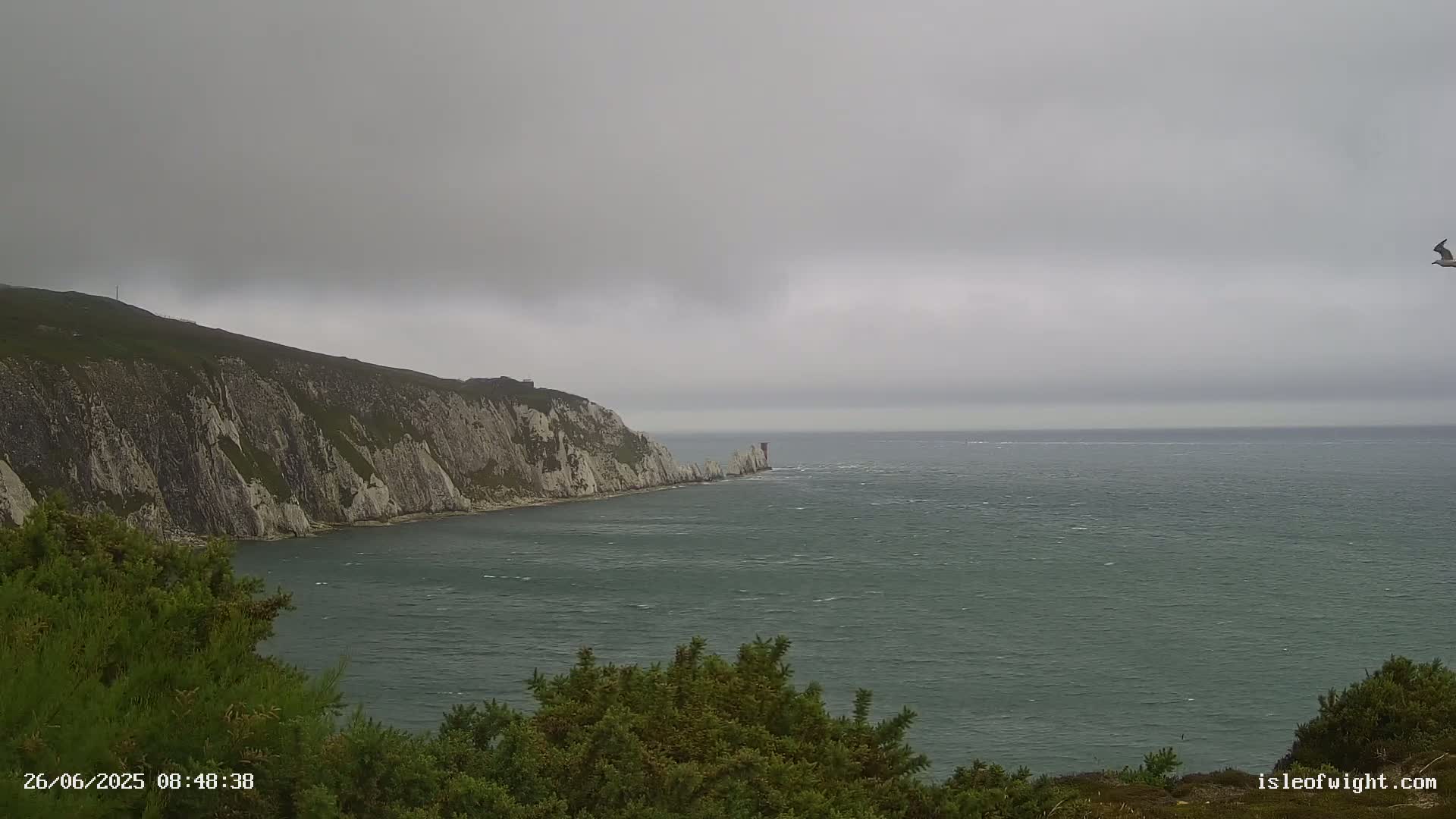 A seabird flies over a choppy sea near a high, white cliff face under an overcast sky.