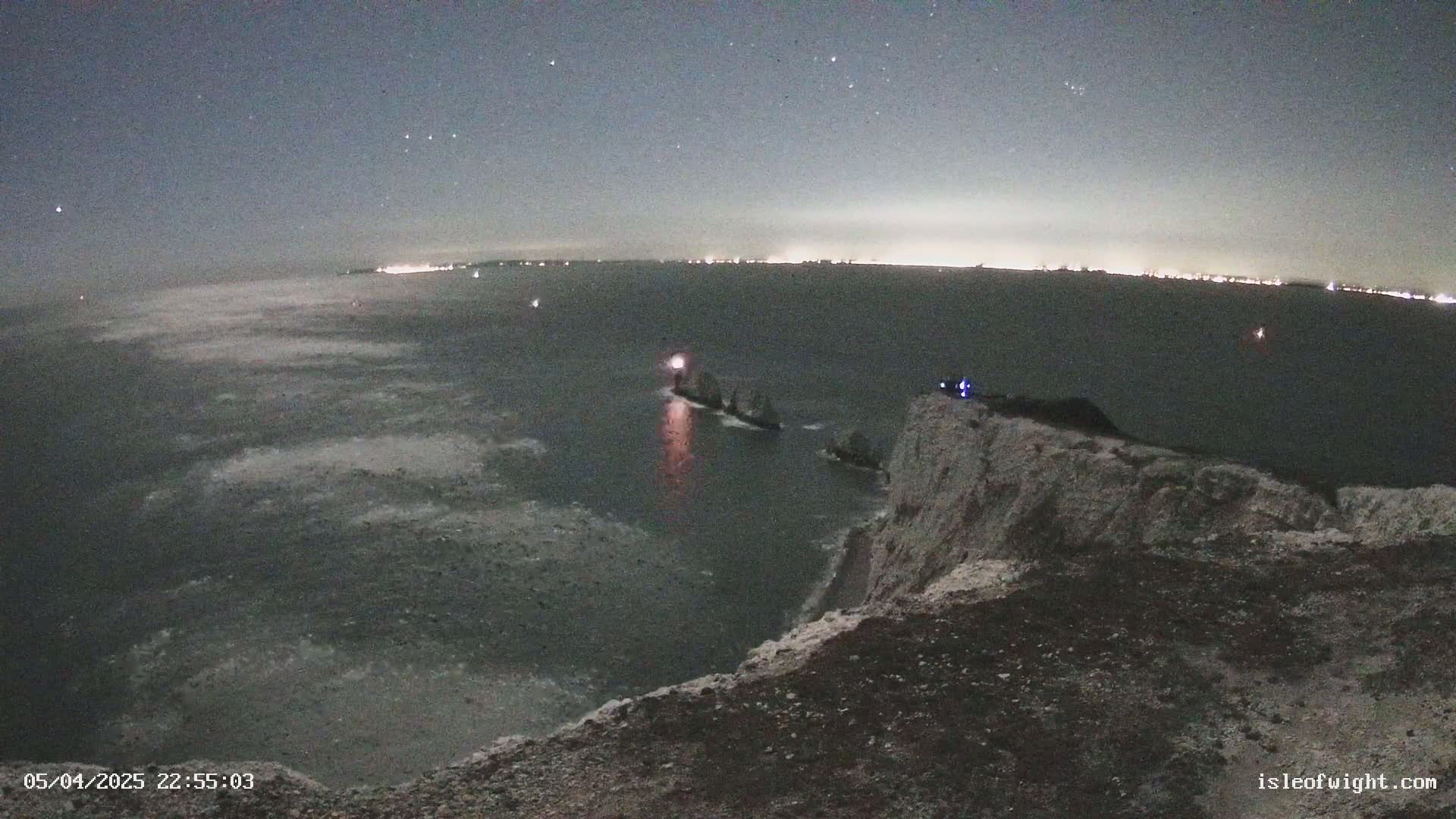 A nighttime view from a clifftop overlooking a dark body of water with a distant line of lights and a ship with a lit mast.