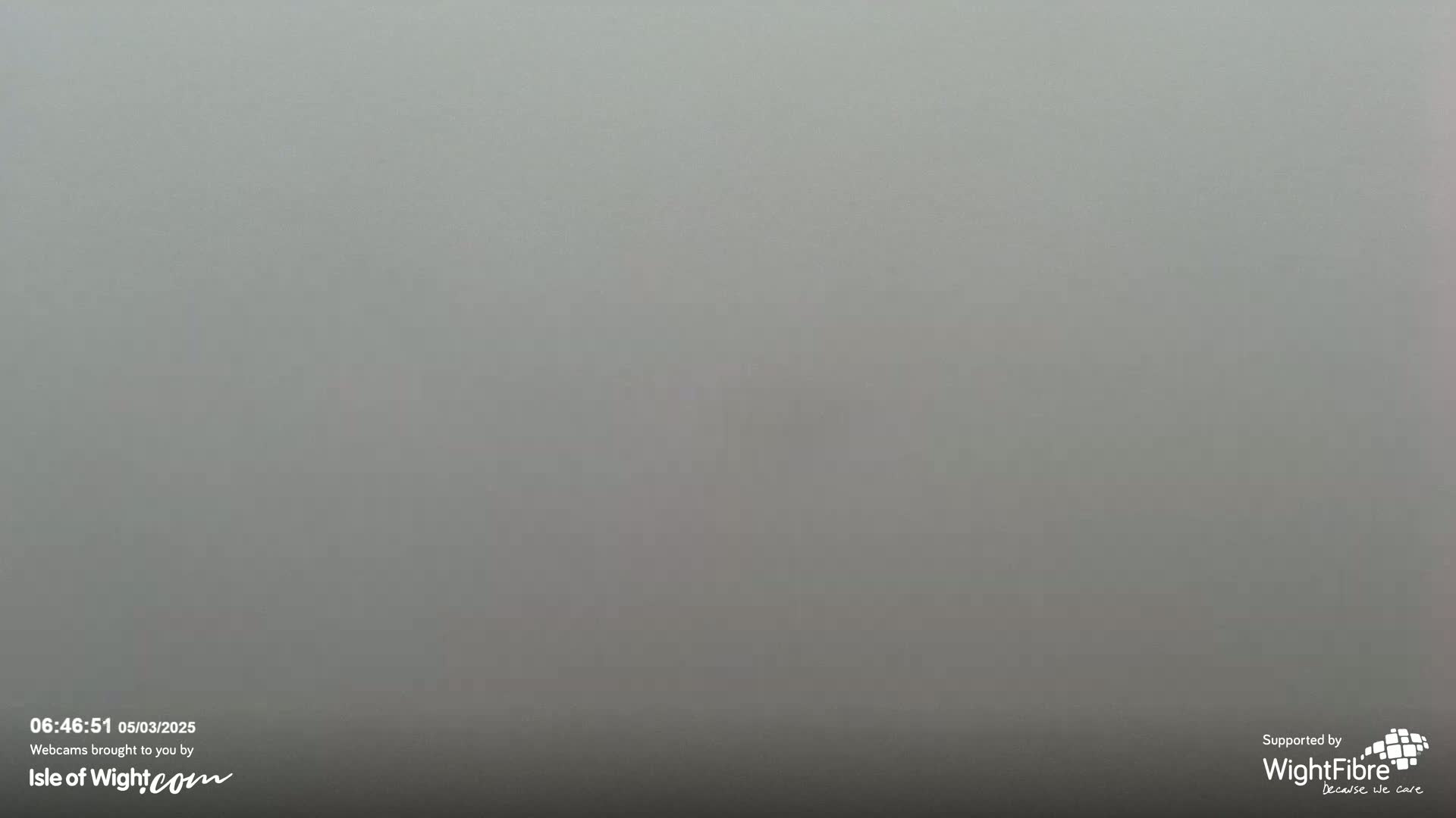 A uniformly gray, foggy scene is visible.