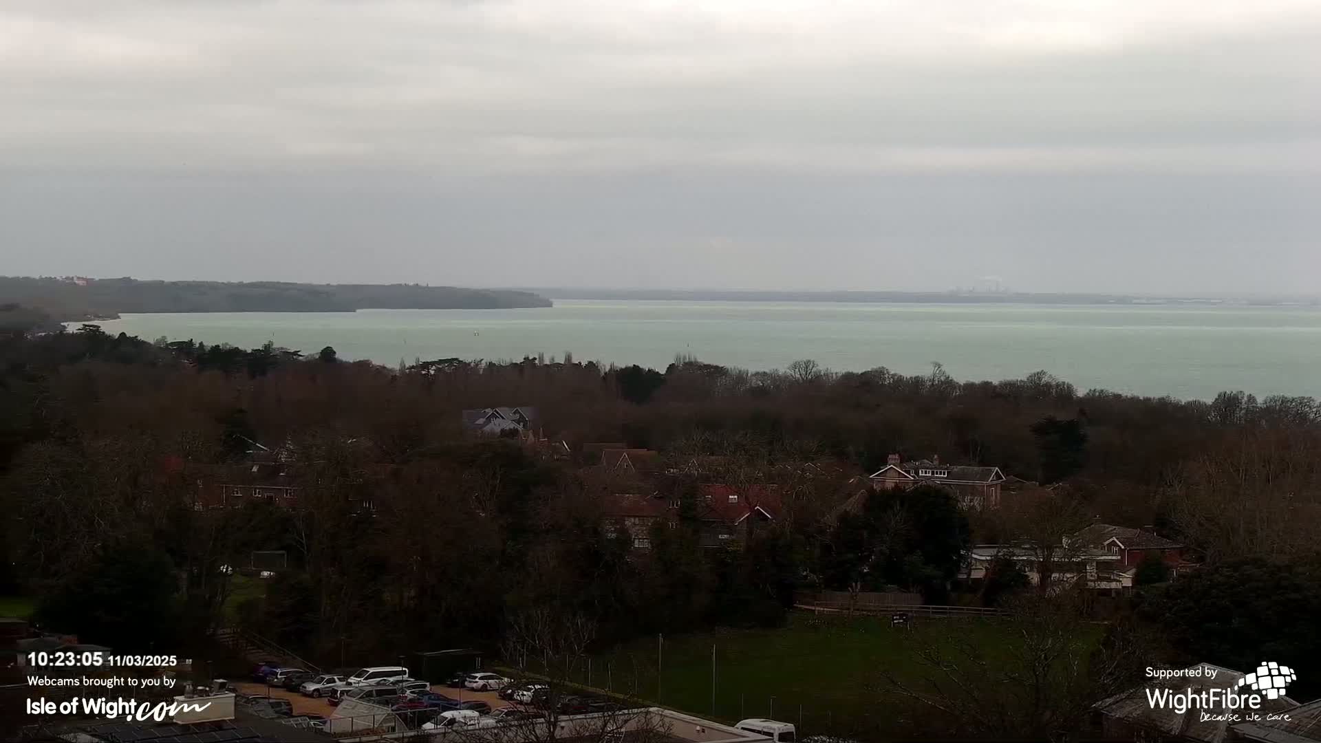 A view of a calm, light-green body of water under an overcast sky, with a tree line and residential buildings in the foreground.