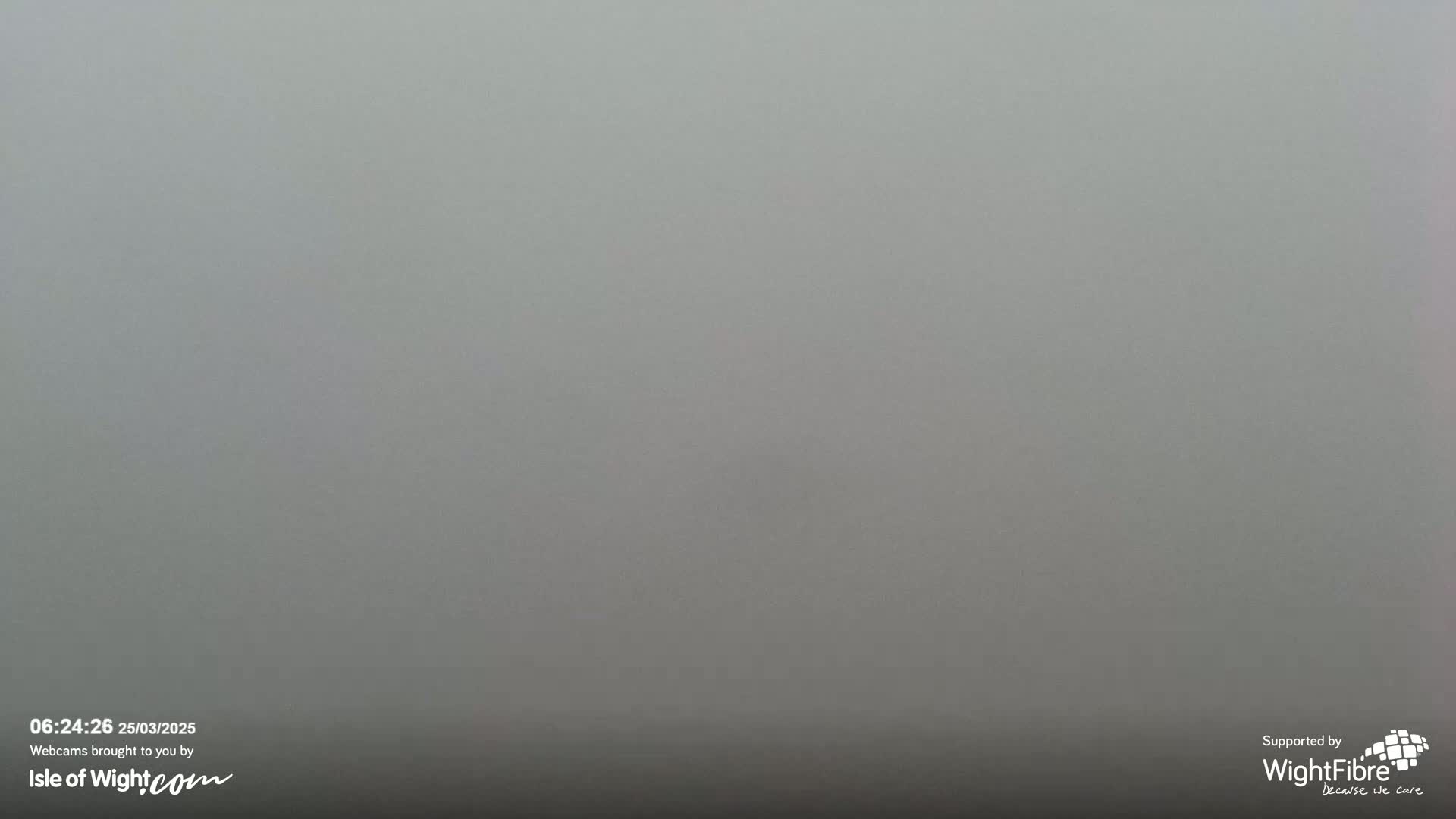 A uniformly gray, foggy scene is visible.