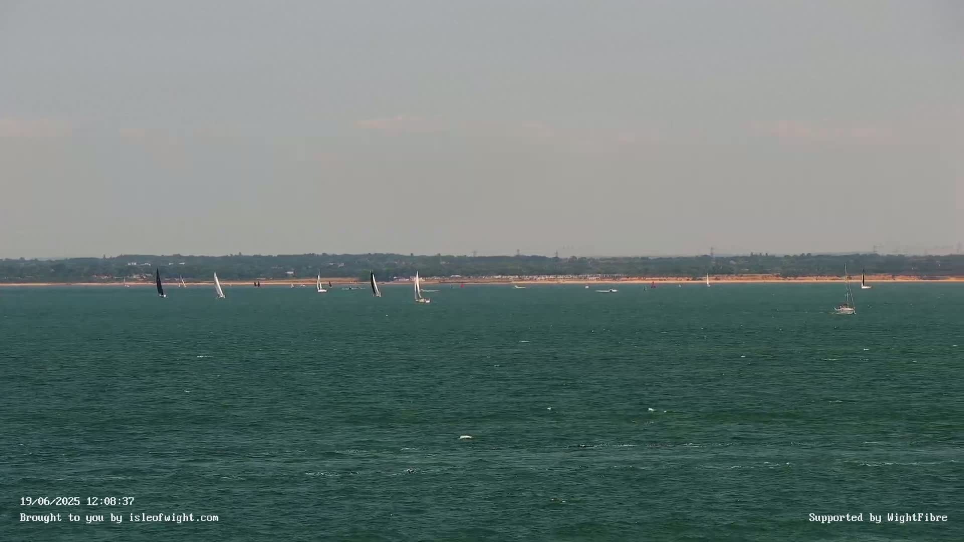 Several sailboats are scattered across a calm, dark-green body of water with a distant shoreline visible under a hazy sky.