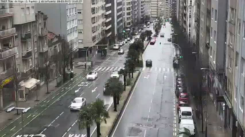 A wet city street lined with tall buildings and palm trees has several cars driving on it in the rain.