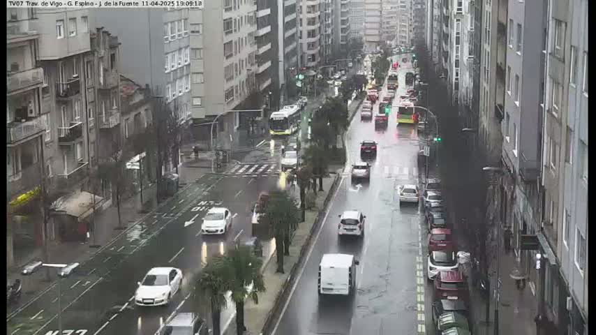 A rainy city street scene shows several cars and a bus traveling in both directions on a wet road lined with tall buildings and palm trees.