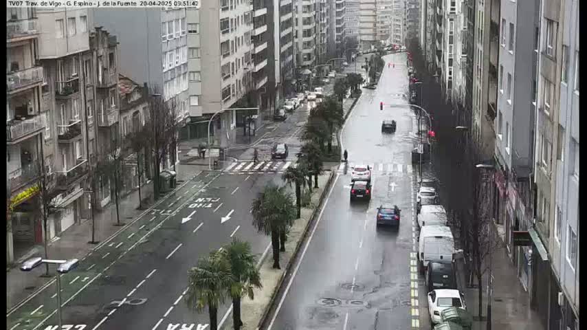 A rain-slicked city street with cars driving along it, lined with tall buildings and palm trees.