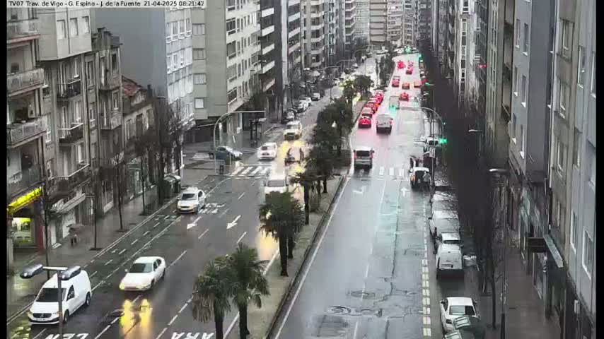 A rain-slicked city street, lined with multi-story buildings and palm trees, shows light traffic moving in both directions.