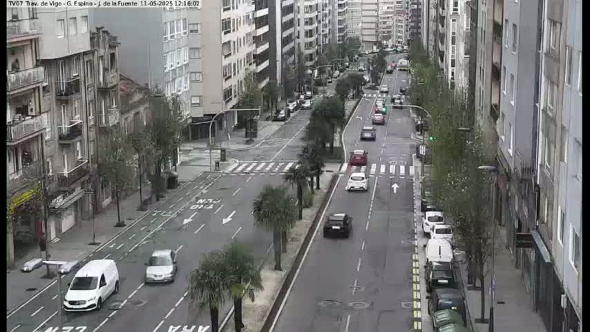 A city street scene shows several cars driving on a wet road lined with tall buildings and palm trees.