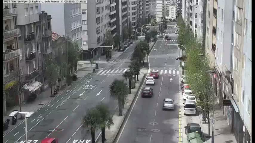 A city street scene on an overcast day shows several cars driving on a multi-lane road lined with tall buildings and palm trees.