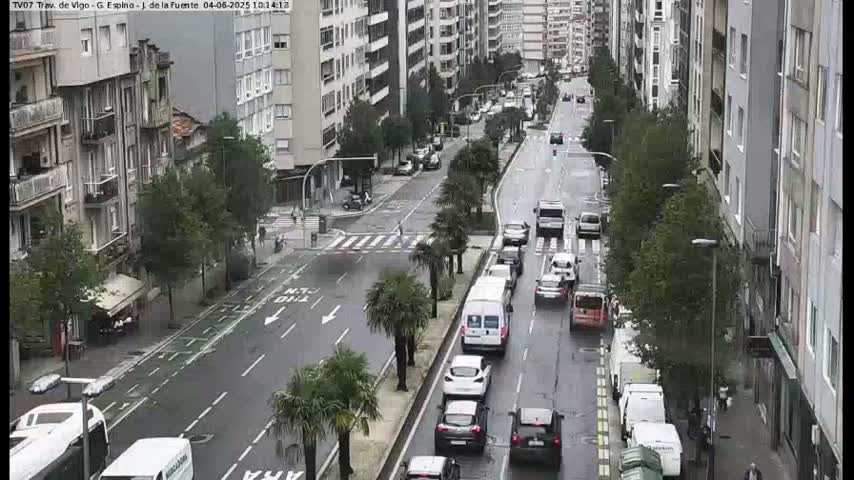 A wet city street with several cars and buildings on either side, palm trees lining the median, and overcast skies.
