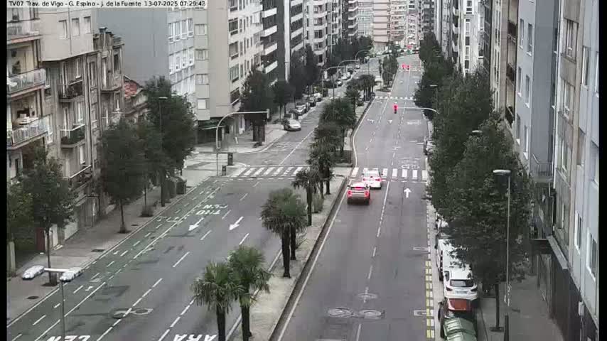 A city street with several cars driving on it, lined with tall buildings and palm trees on either side, on a seemingly overcast day.