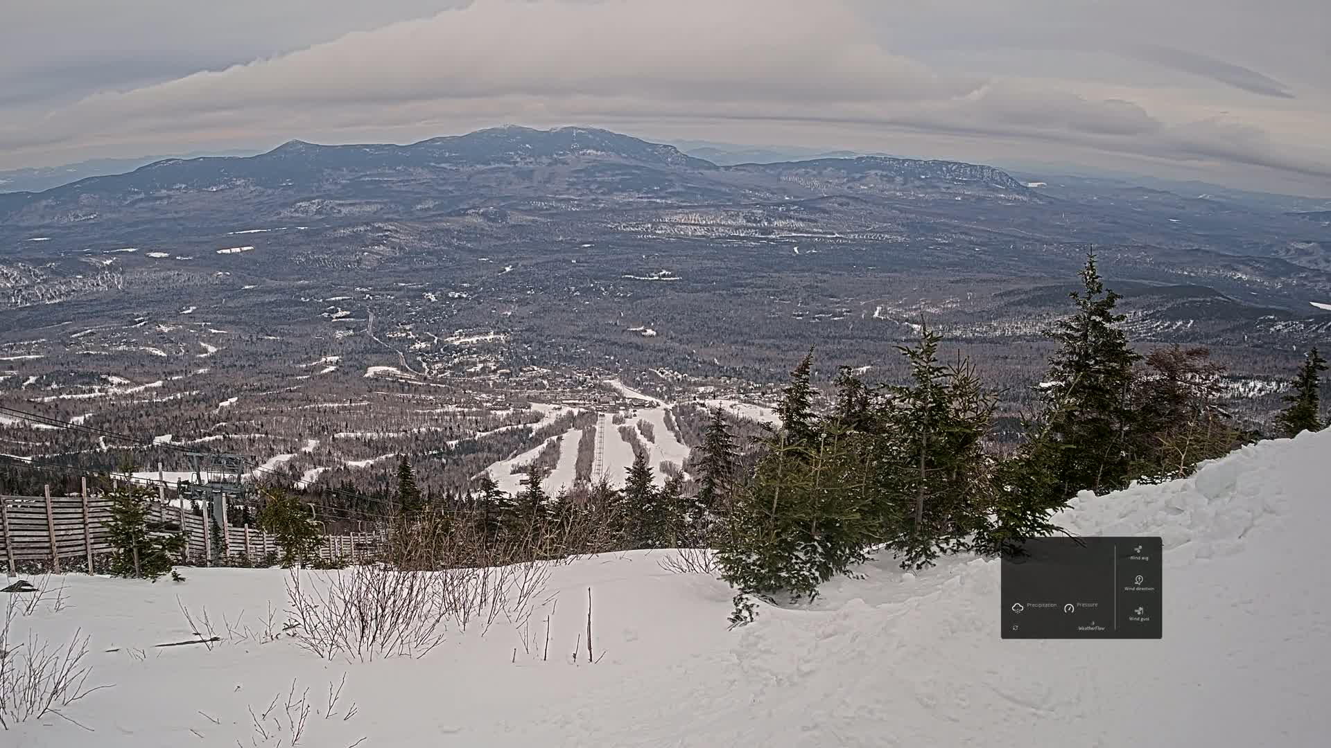 A snow-covered mountain slope overlooks a vast, snow-dusted forest and distant mountains under a cloudy sky.