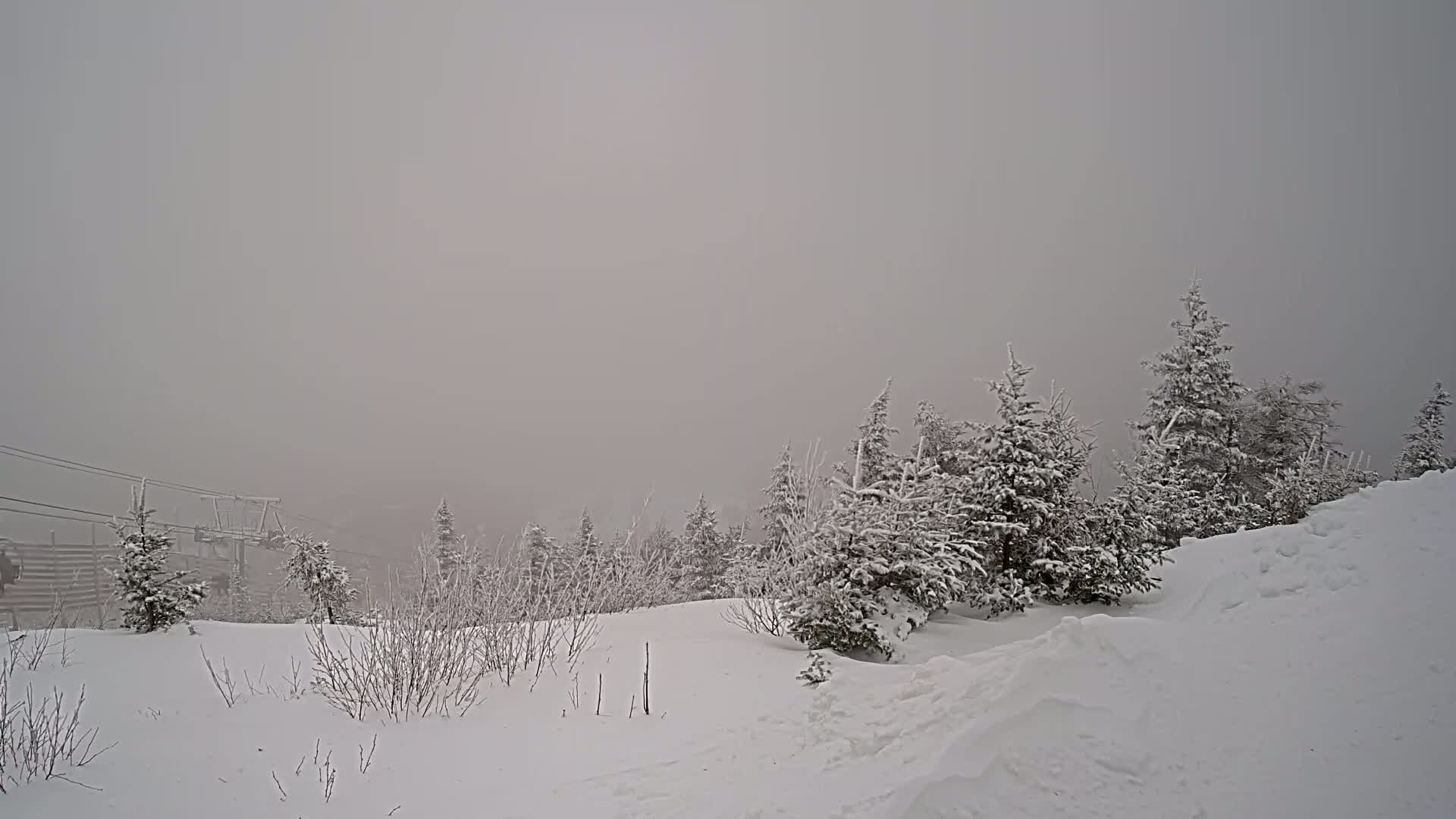 A snow-covered landscape with evergreen trees under a foggy, gray sky, featuring a ski lift in the distance.