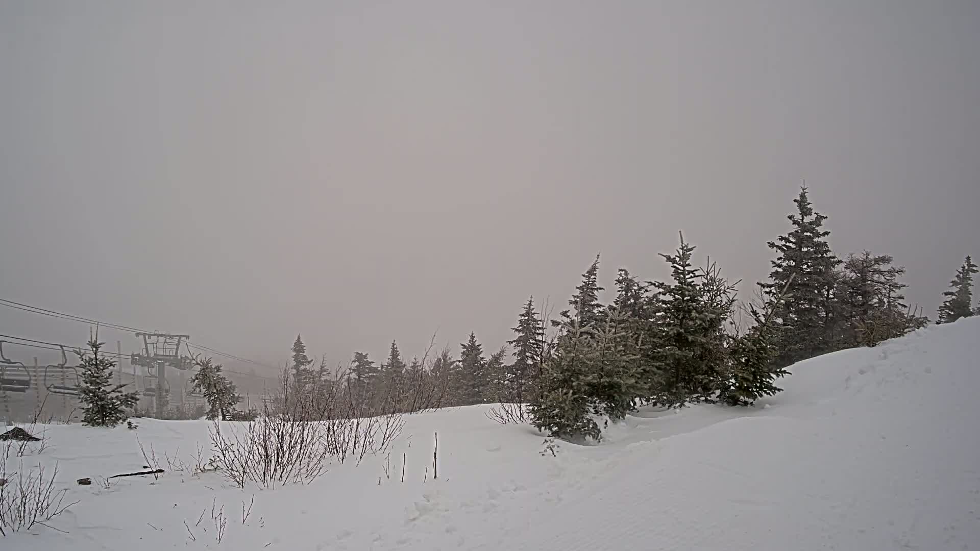 A snow-covered landscape with evergreen trees and a ski lift in the distance is shrouded in heavy fog.