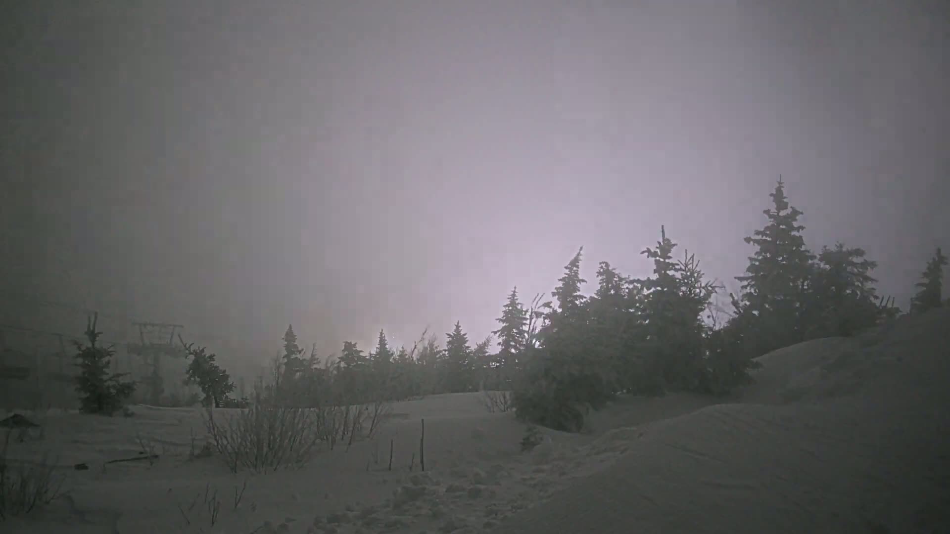 A snow-covered landscape with evergreen trees shrouded in dense fog.