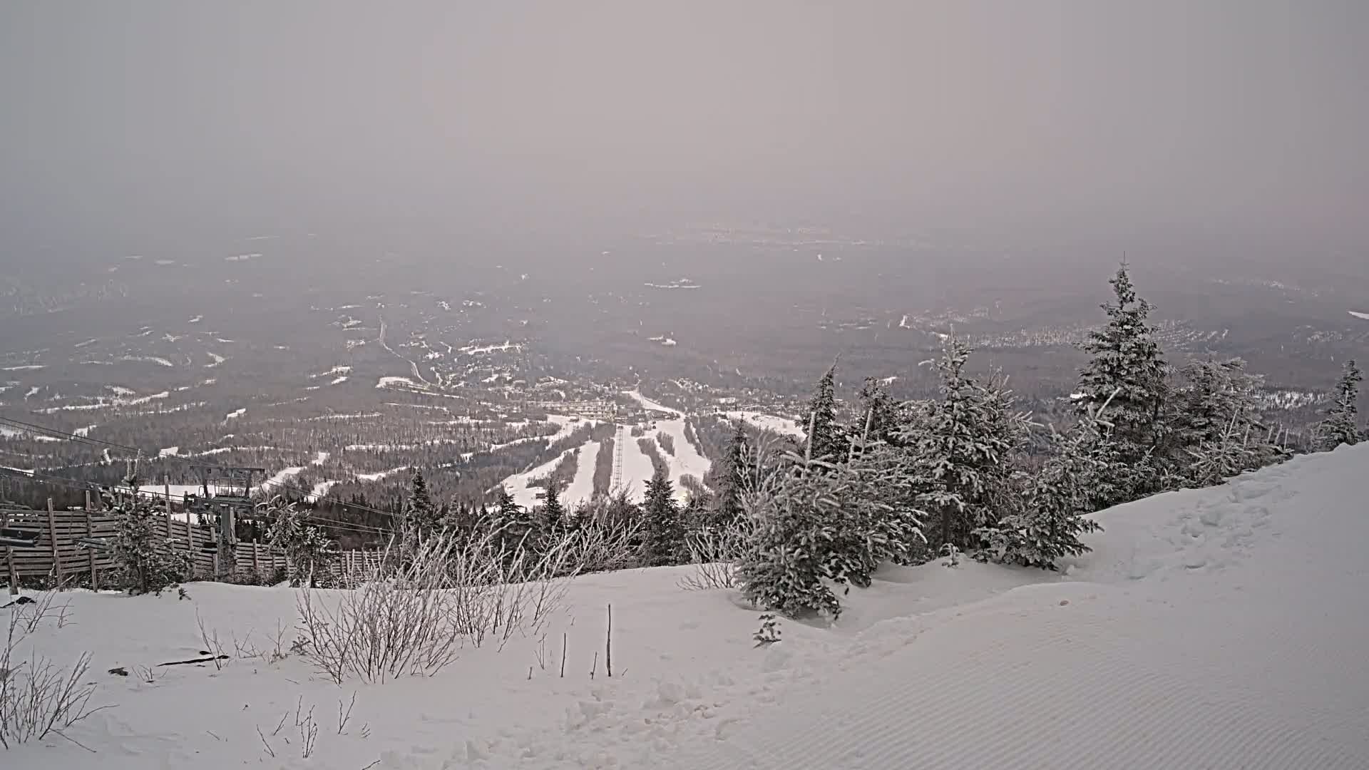 A snowy, hazy mountain vista reveals a ski resort below, with snow-covered evergreens in the foreground.