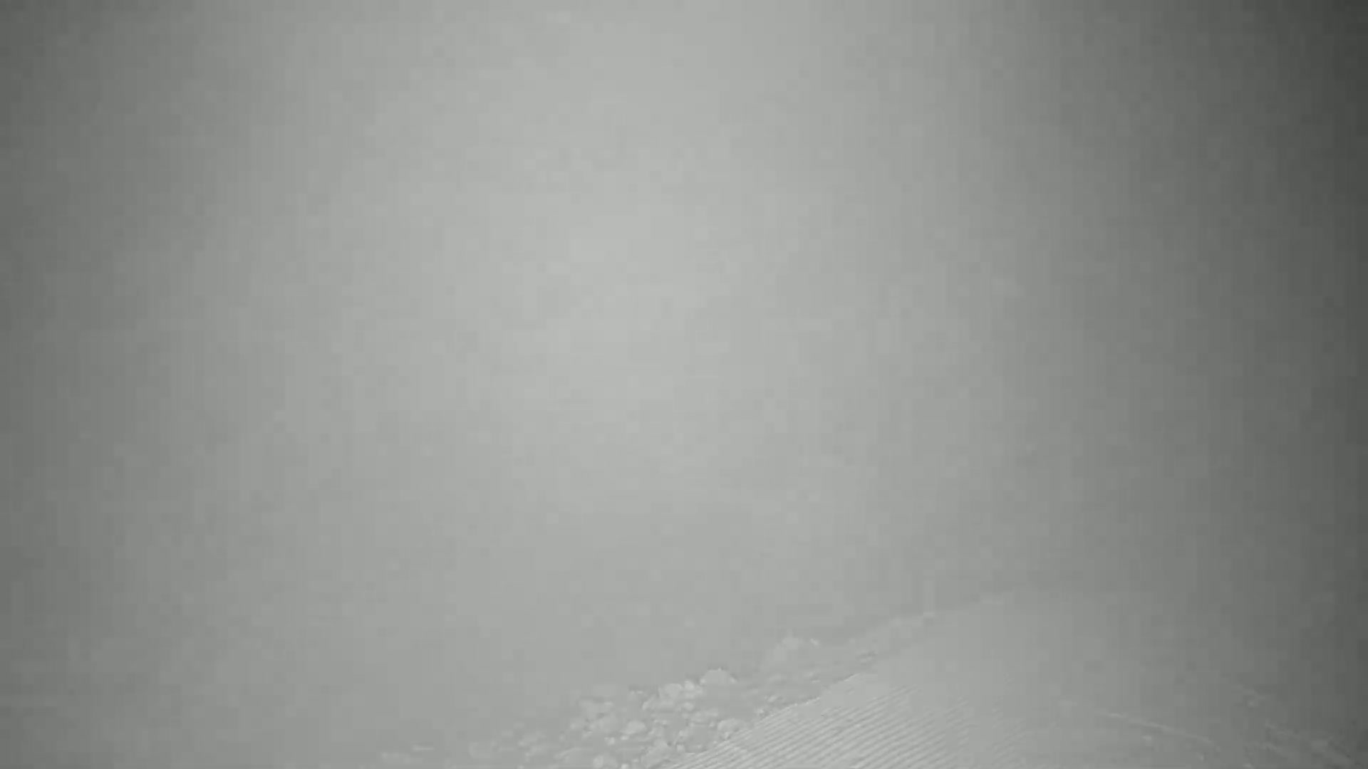 A blurry, indistinct view of a snow-covered landscape under heavy, gray fog or blowing snow.