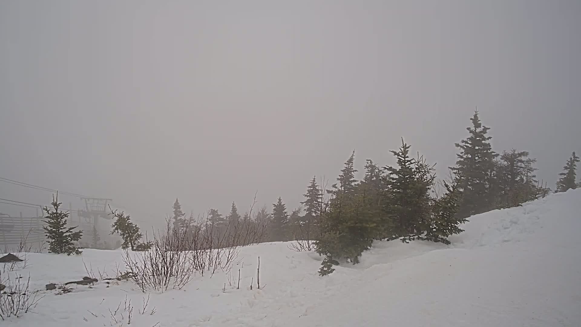 A snow-covered landscape with evergreen trees is shrouded in dense fog.