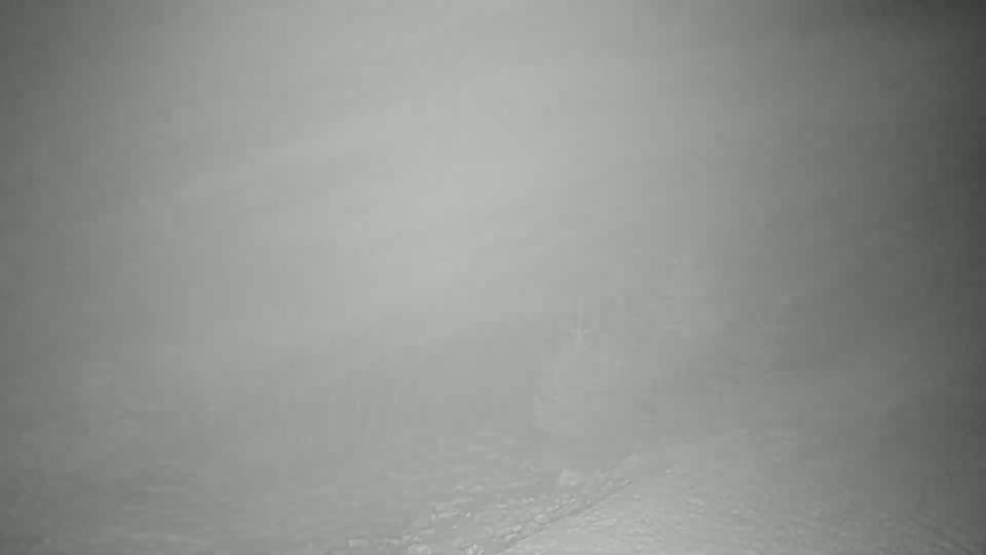 A snowy, foggy landscape is visible, with indistinct shapes suggesting trees or structures in the middle distance.