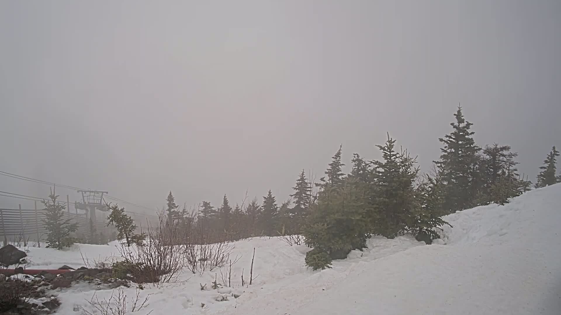 A snowy landscape shrouded in fog features evergreen trees and a partially visible ski lift.