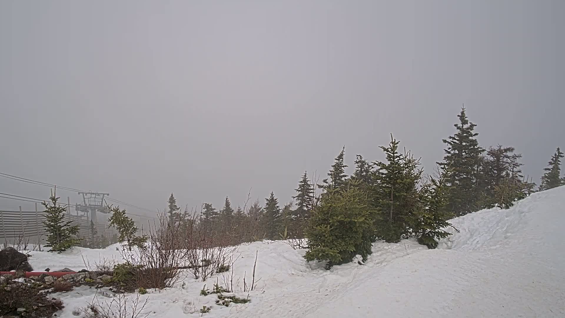 A snow-covered landscape with evergreen trees and a ski lift partially obscured by heavy fog.