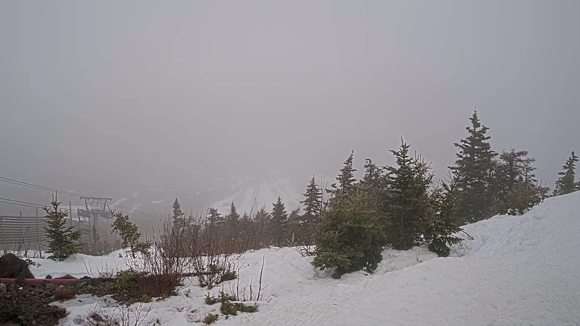 A snow-covered landscape with evergreen trees is shrouded in thick fog, partially obscuring a ski lift in the distance.