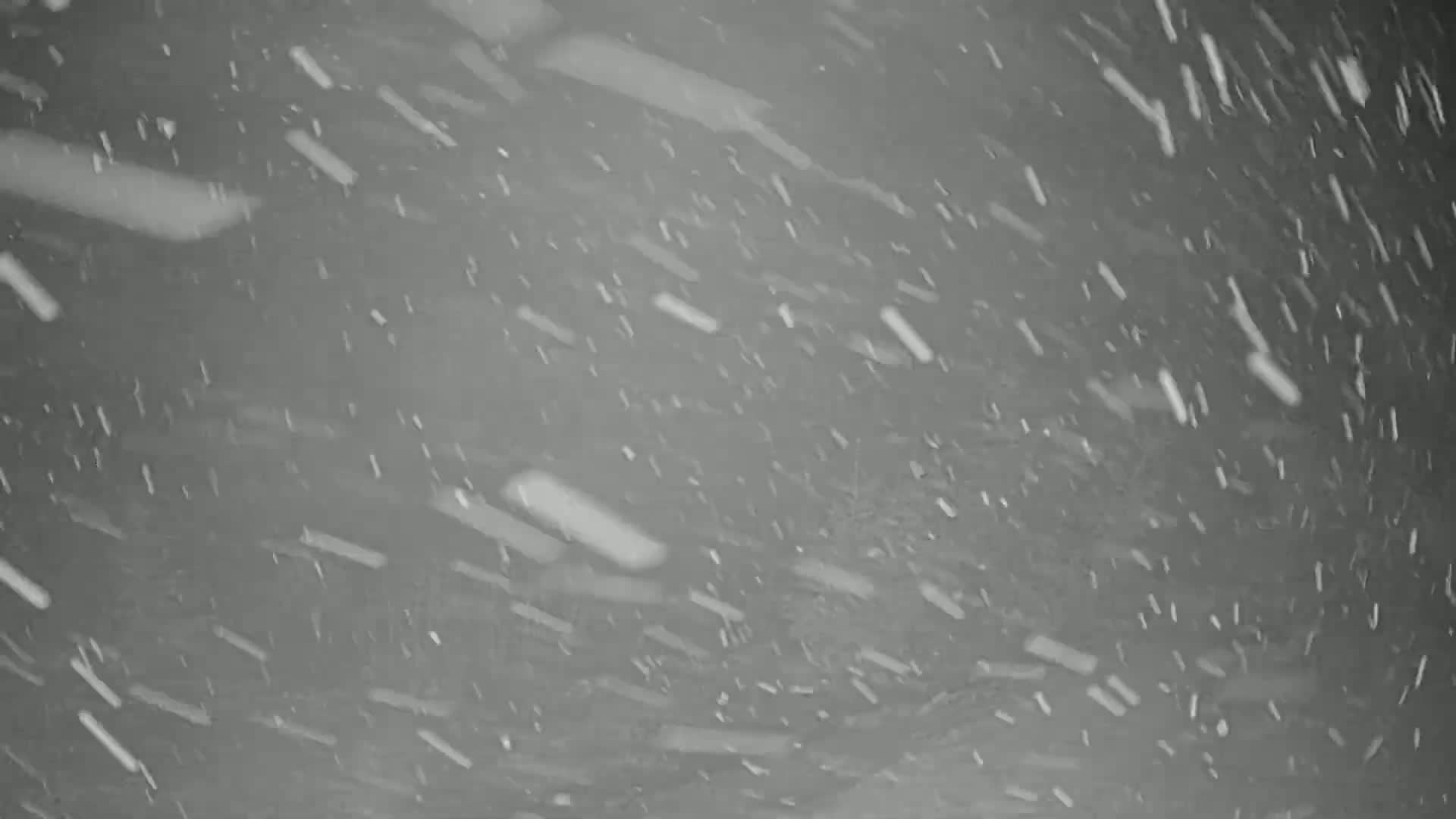 Snow is falling heavily against a gray background.