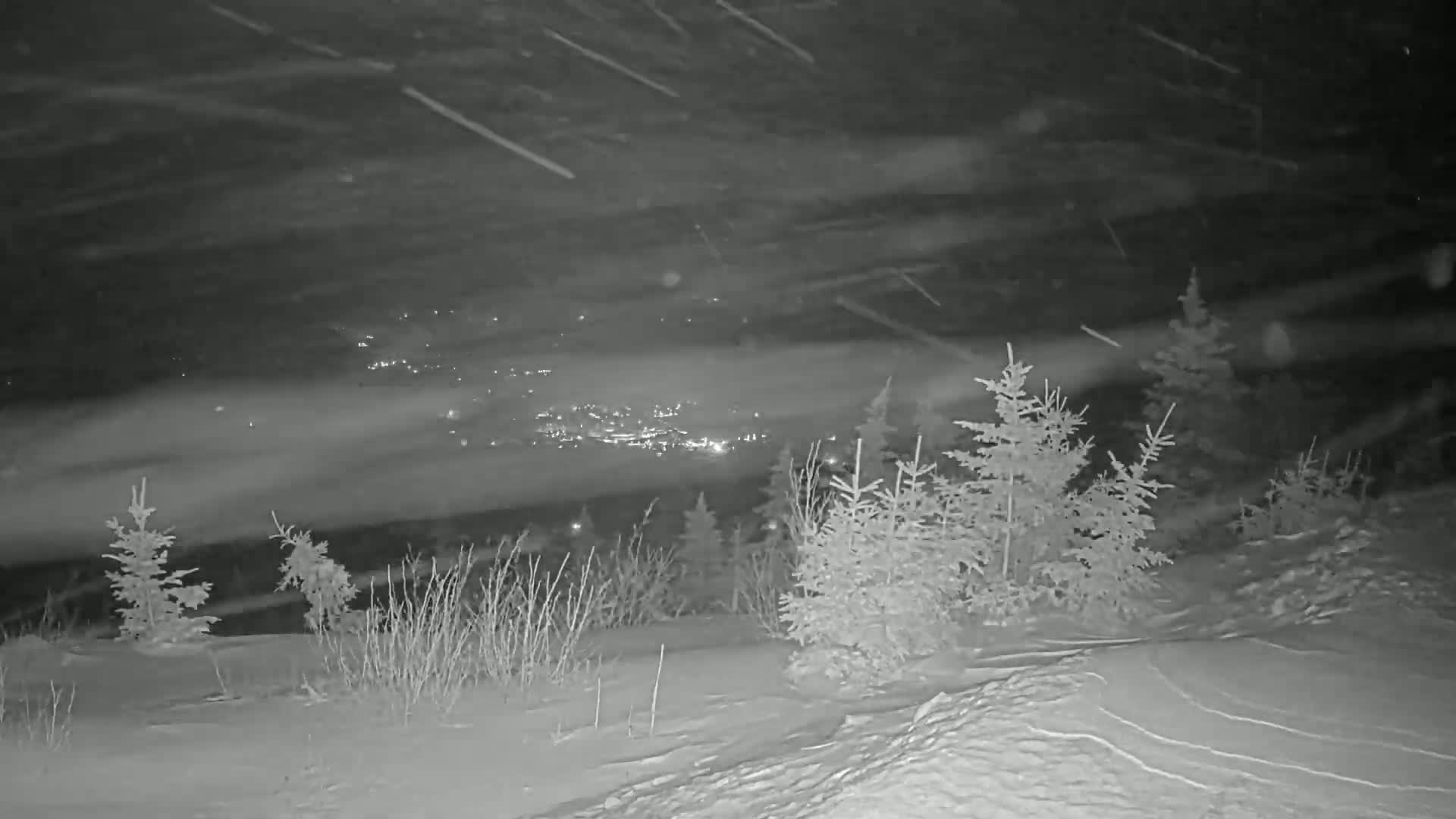 A snow-covered landscape at night with small evergreen trees in the foreground and a distant town illuminated below, under heavy snowfall.