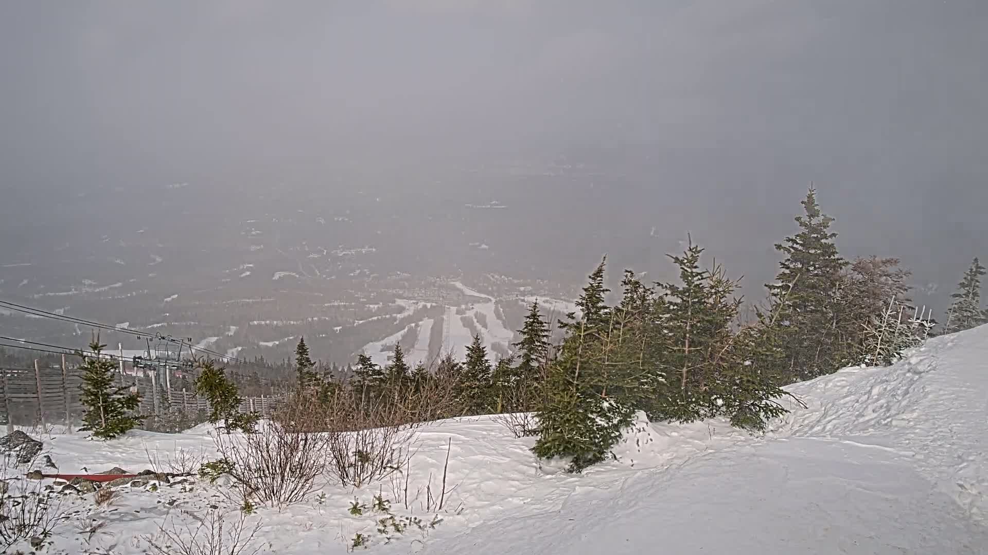 A snowy mountaintop view shows a ski resort below in hazy weather, with evergreens lining a snow-covered slope in the foreground.