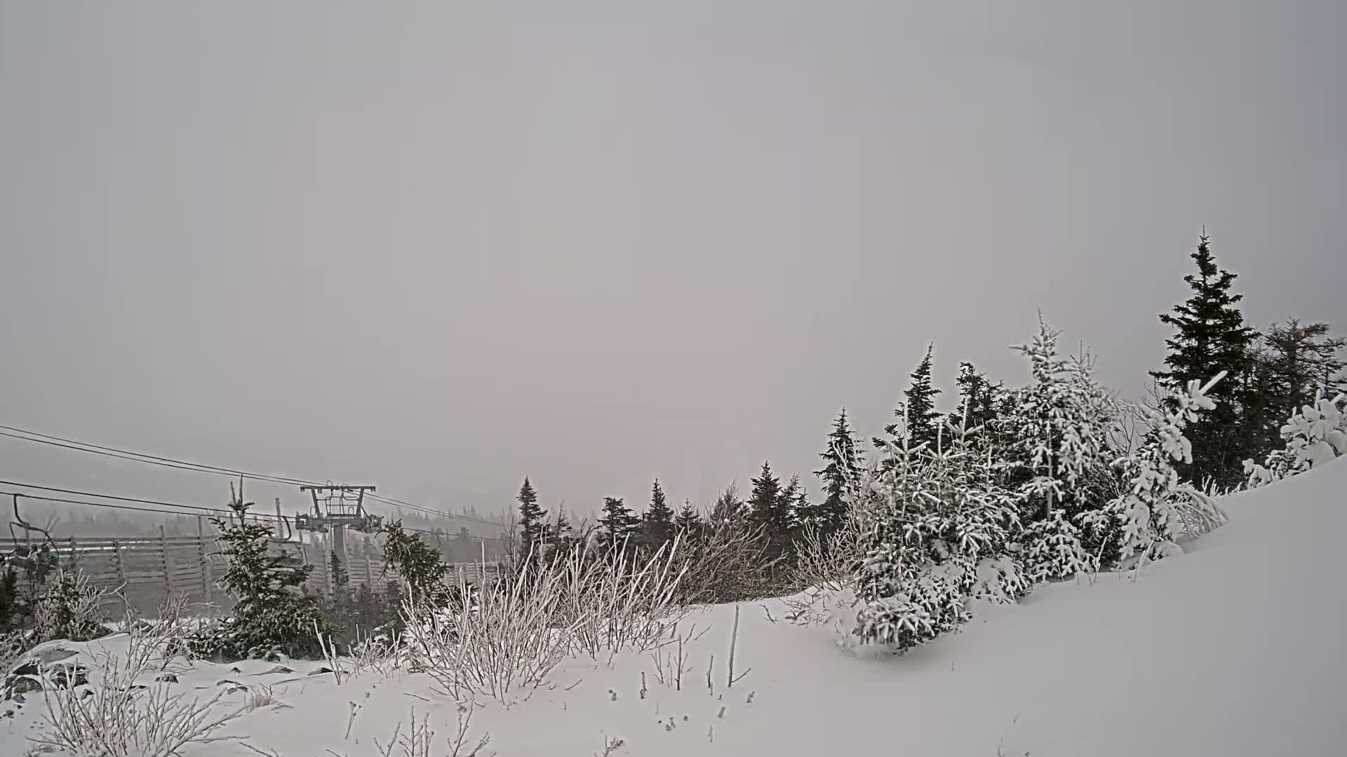 Snow-covered trees and shrubs line a snowy hillside under a gray, overcast sky, with a ski lift visible in the distance.