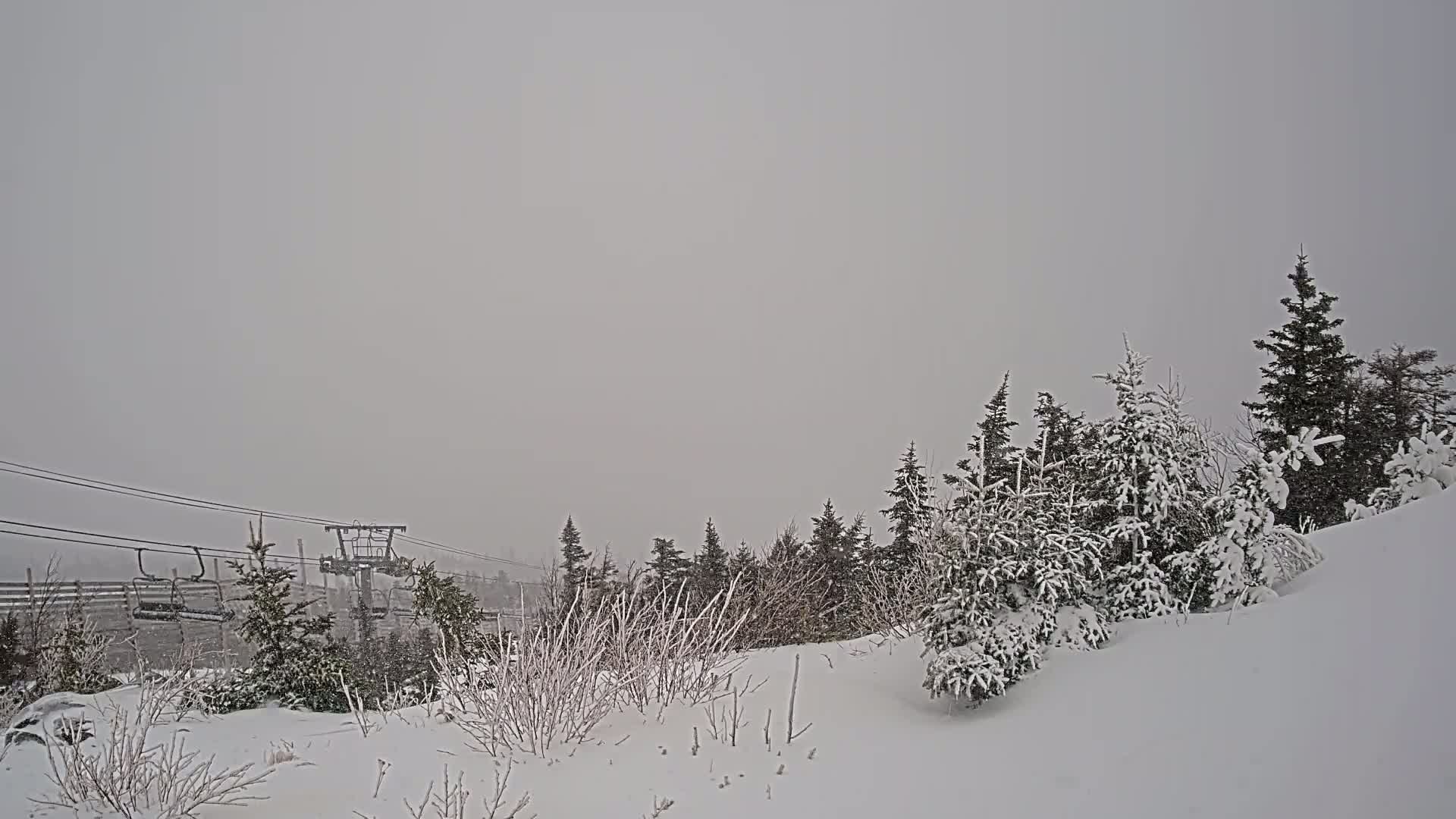 Snow-covered evergreens and a ski lift are visible under a gray, snowy sky.