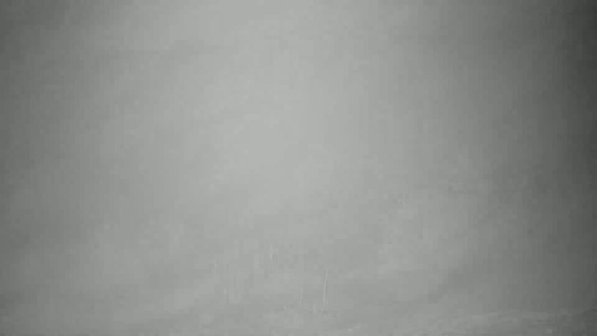 A uniformly gray, textured surface fills the entire image.